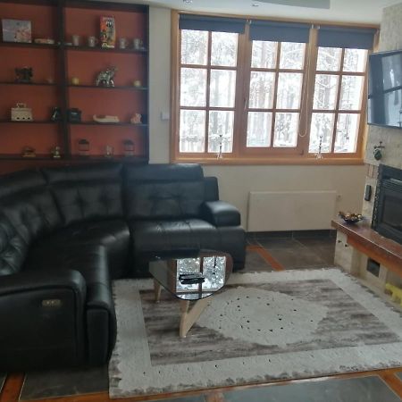 Vila Panic Zlatibor Luaran gambar