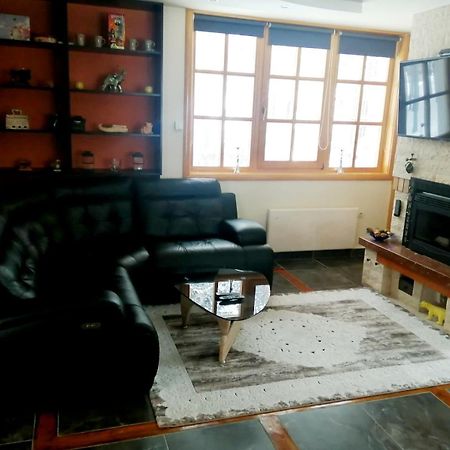 Vila Panic Zlatibor Luaran gambar