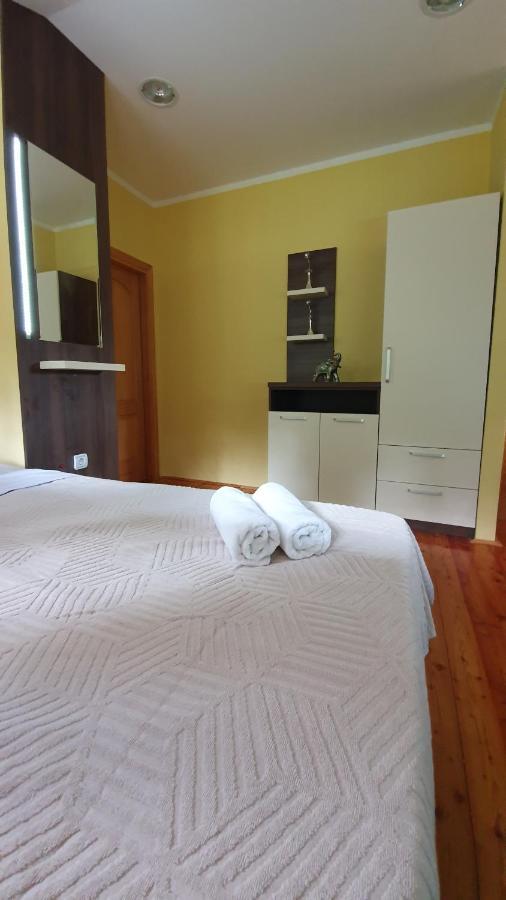 Vila Panic Zlatibor Luaran gambar