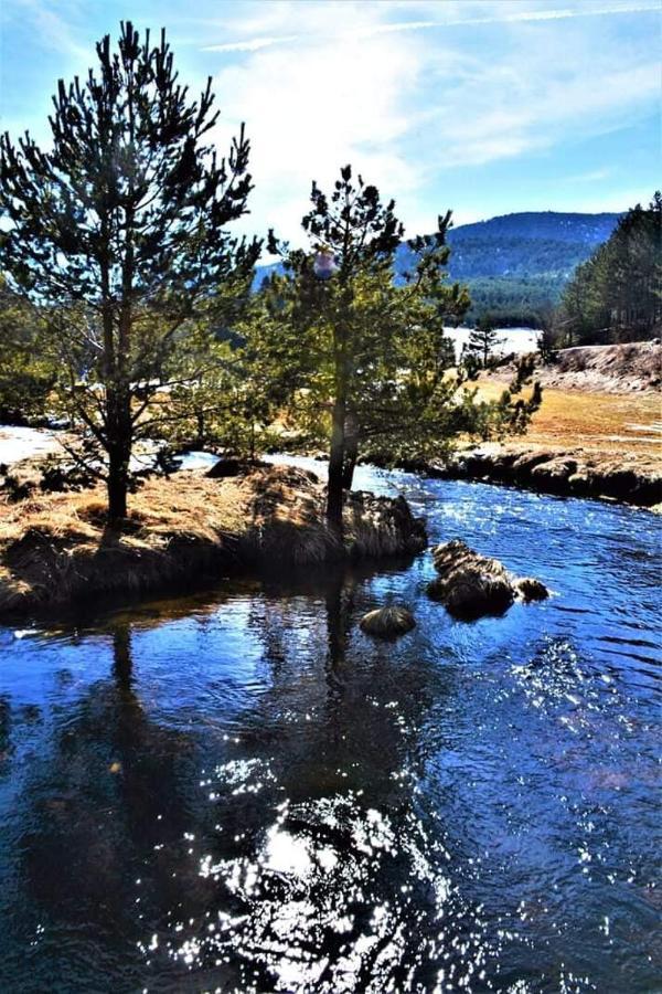 Vila Panic Zlatibor Luaran gambar