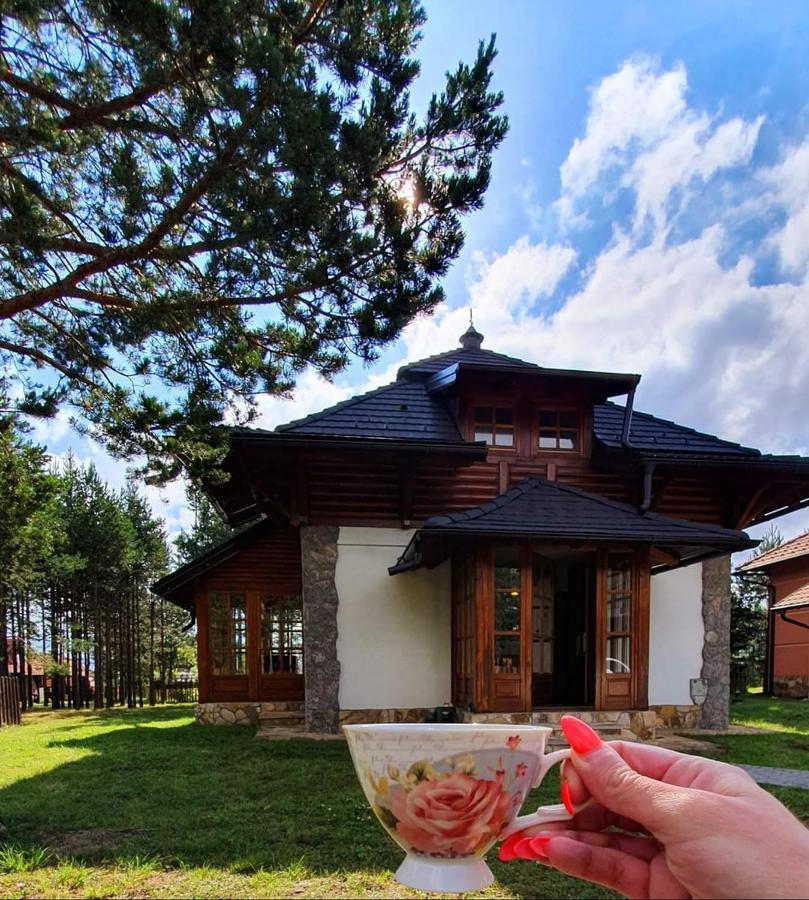 Vila Panic Zlatibor Luaran gambar