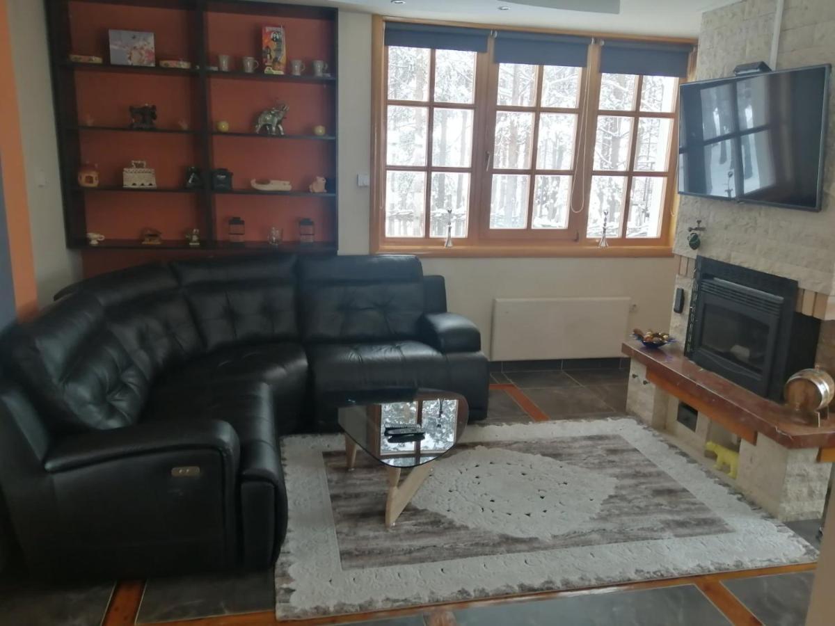 Vila Panic Zlatibor Luaran gambar