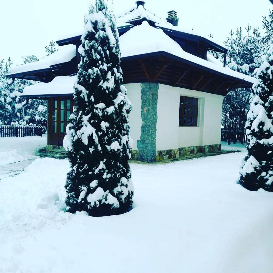 Vila Panic Zlatibor Luaran gambar