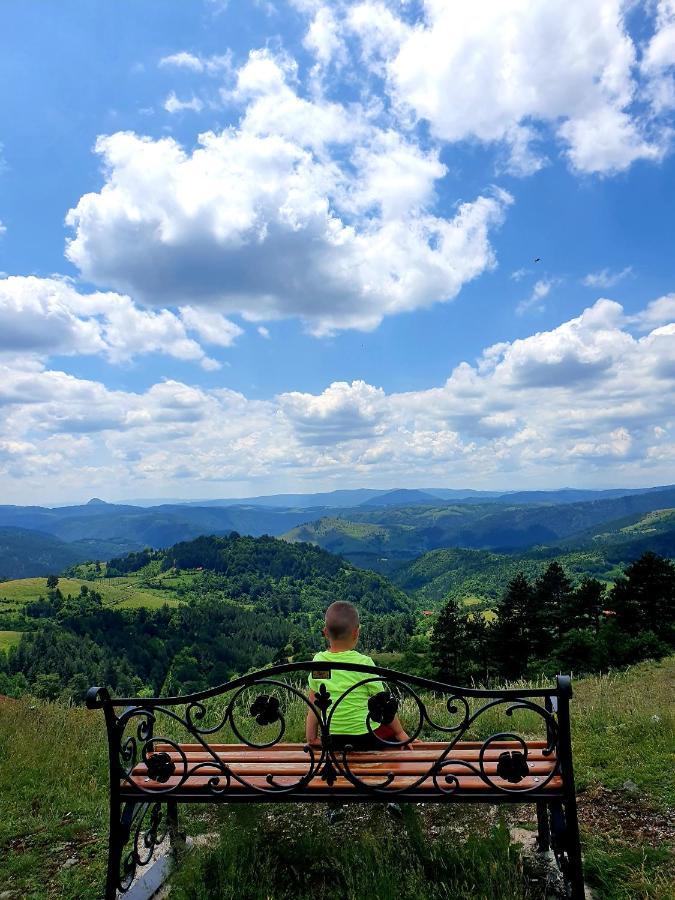 Vila Panic Zlatibor Luaran gambar